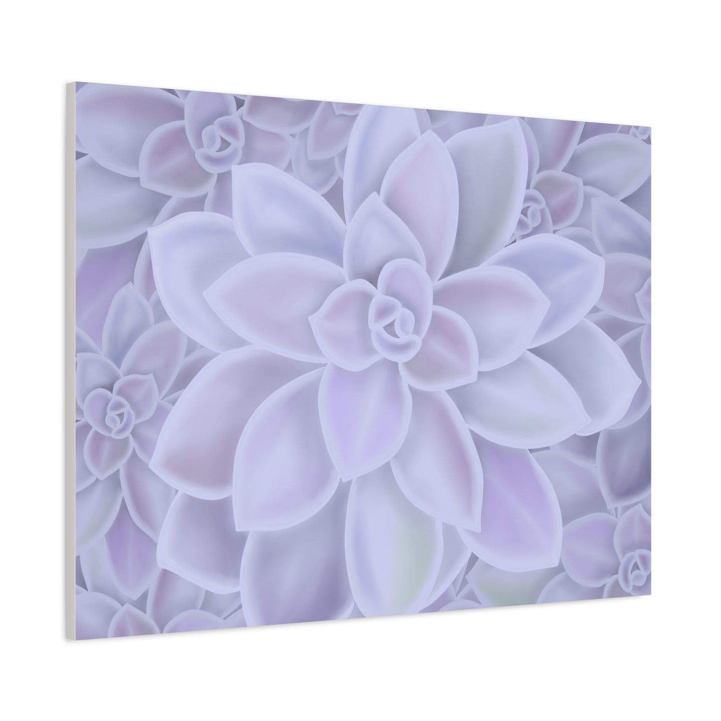 Graptopetalum Murasaki Succulent Pattern Canvas Print – Botanical Wall Art