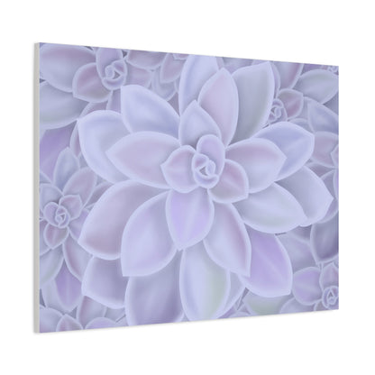 Graptopetalum Murasaki Succulent Pattern Canvas Print – Botanical Wall Art