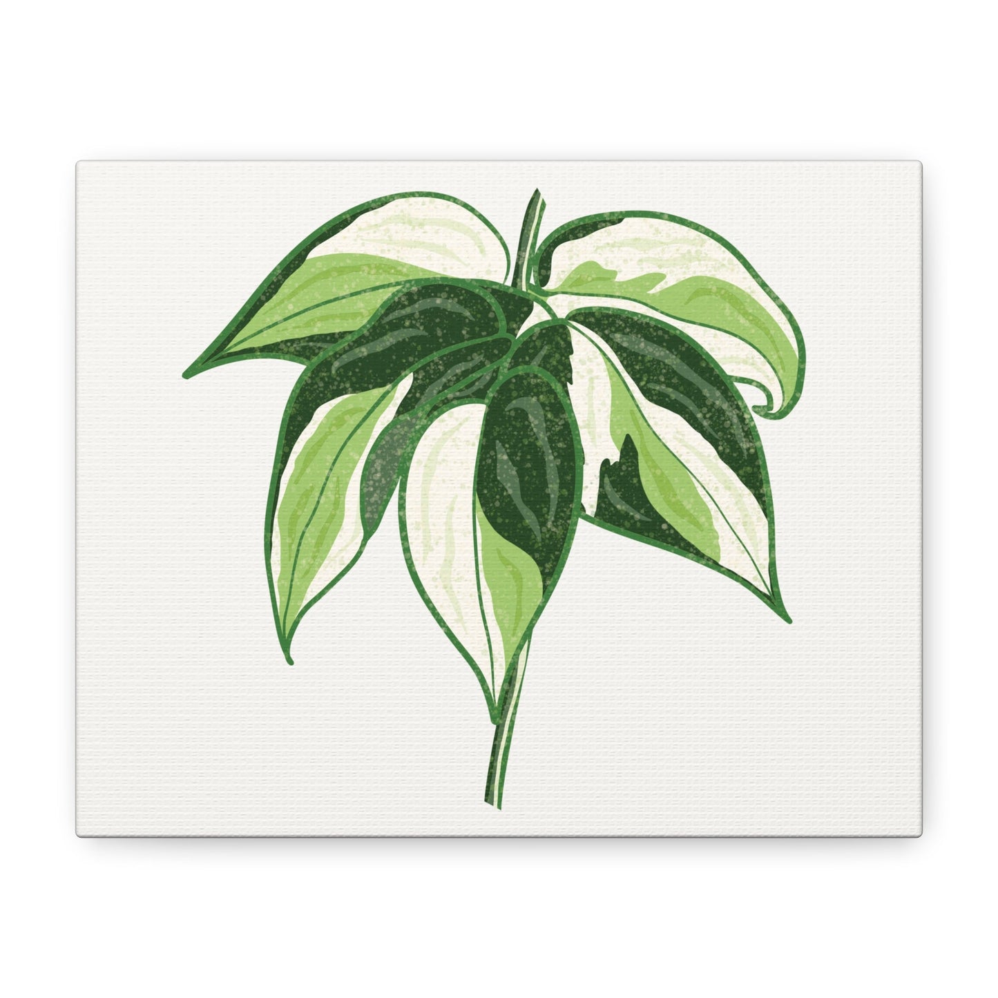 Philodendron Cream Splash Canvas Print – Botanical Wall Art