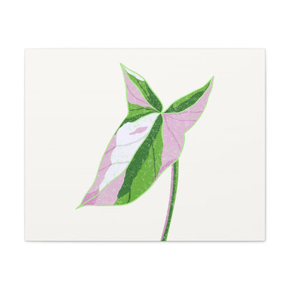 Syngonium Tricolor Canvas Print – Botanical Wall Art