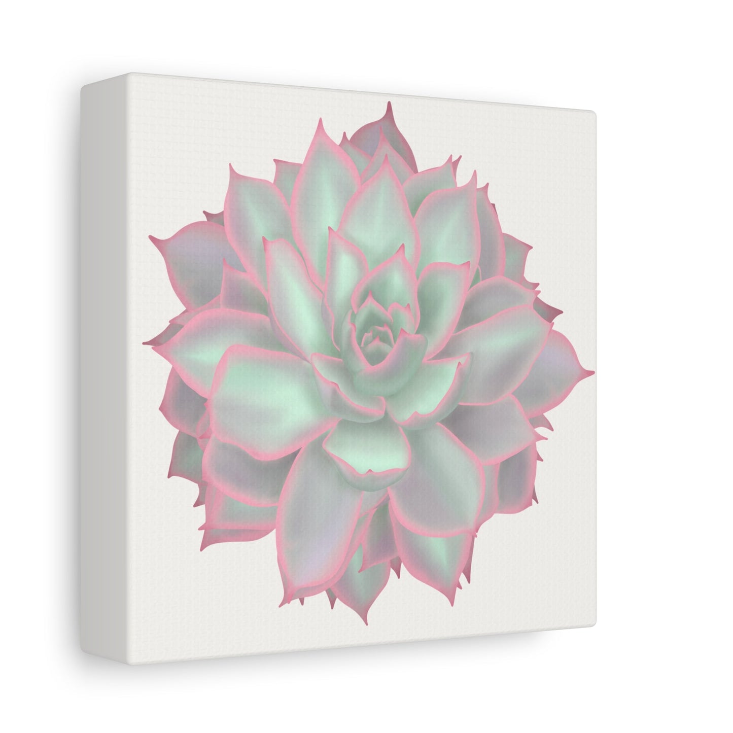 Echeveria Violet Queen Succulent Canvas Print – Botanical Wall Art