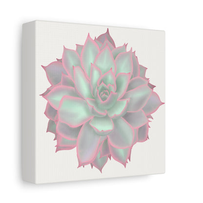 Echeveria Violet Queen Succulent Canvas Print – Botanical Wall Art