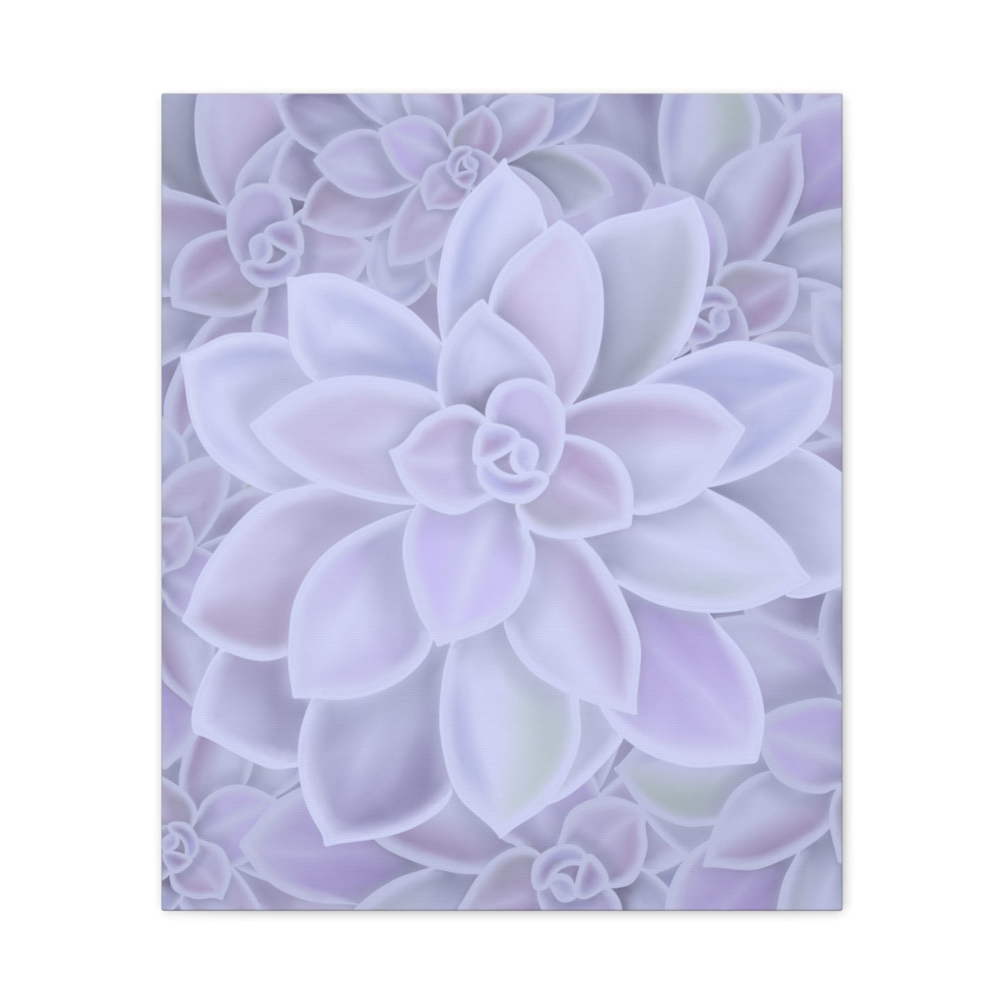 Graptopetalum Murasaki Succulent Pattern Canvas Print – Botanical Wall Art