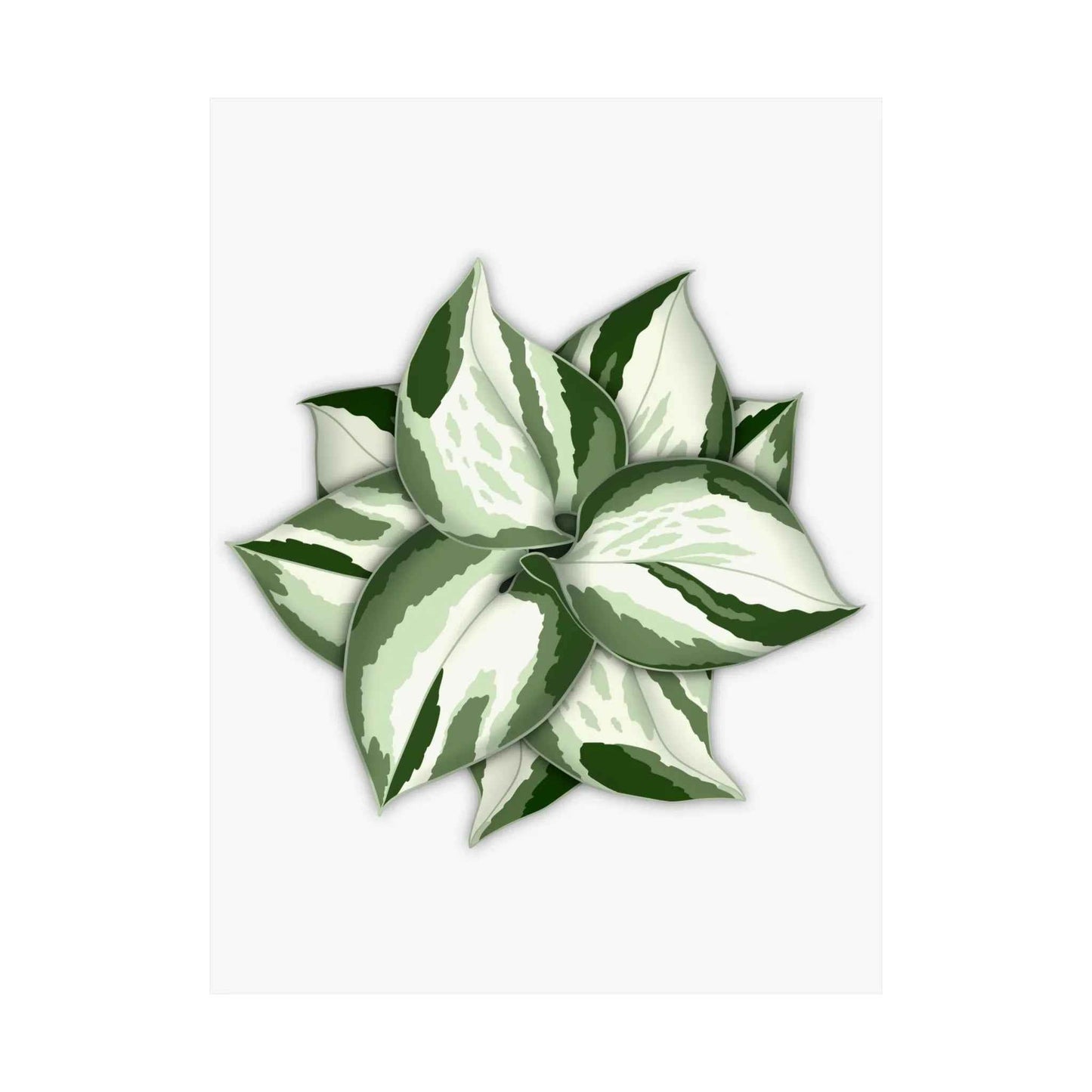 Manjula Pothos Botanical Print – Unframed Wall Art