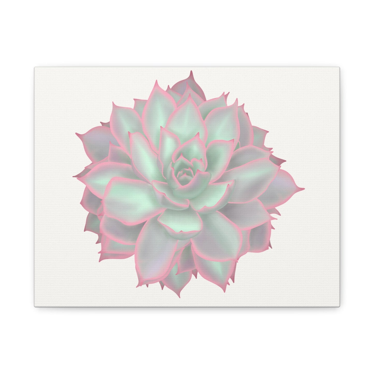 Echeveria Violet Queen Succulent Canvas Print – Botanical Wall Art