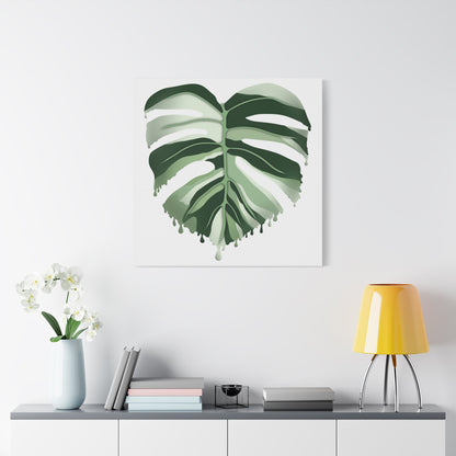 Melting Monstera Albo Canvas Print – Botanical Wall Art
