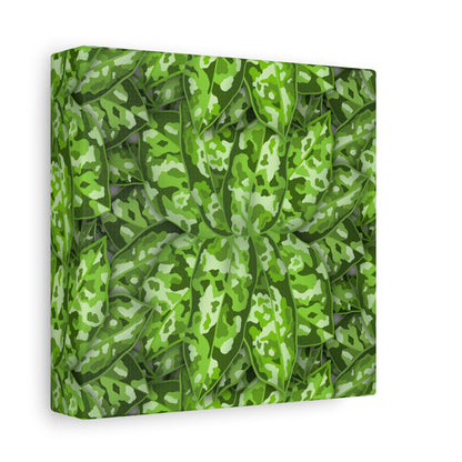 Aglaonema Pictum Canvas Print – Botanical Wall Art