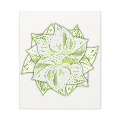 Snow Queen Pothos Canvas Print – Botanical Wall Art