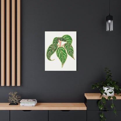 Aglaonema Sparkling Sarah Canvas Print – Botanical Wall Art