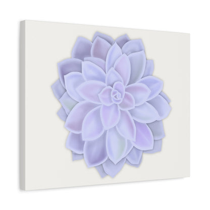 Graptopetalum Murasaki Succulent Canvas Print – Botanical Wall Art