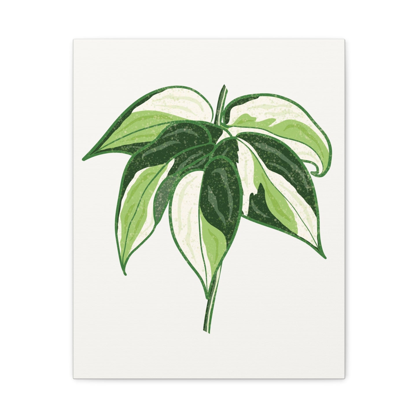 Philodendron Cream Splash Canvas Print – Botanical Wall Art
