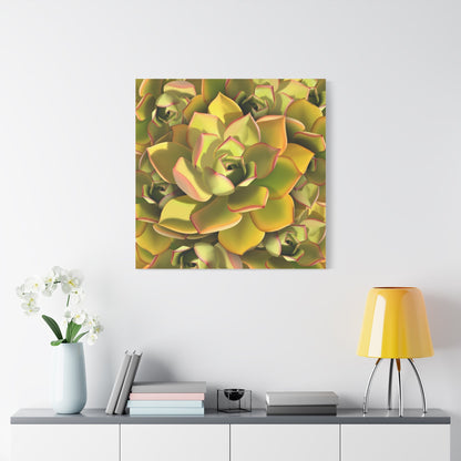 Noble Aeonium Succulent Pattern Canvas Print – Botanical Wall Art