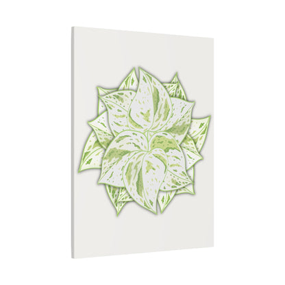 Snow Queen Pothos Canvas Print – Botanical Wall Art