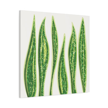 Snake Plant Canvas Print – Botanical Wall Art