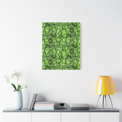 Aglaonema Pictum Canvas Print – Botanical Wall Art