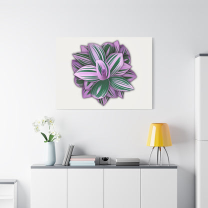 Tradescantia Nanouk Canvas Print – Botanical Wall Art