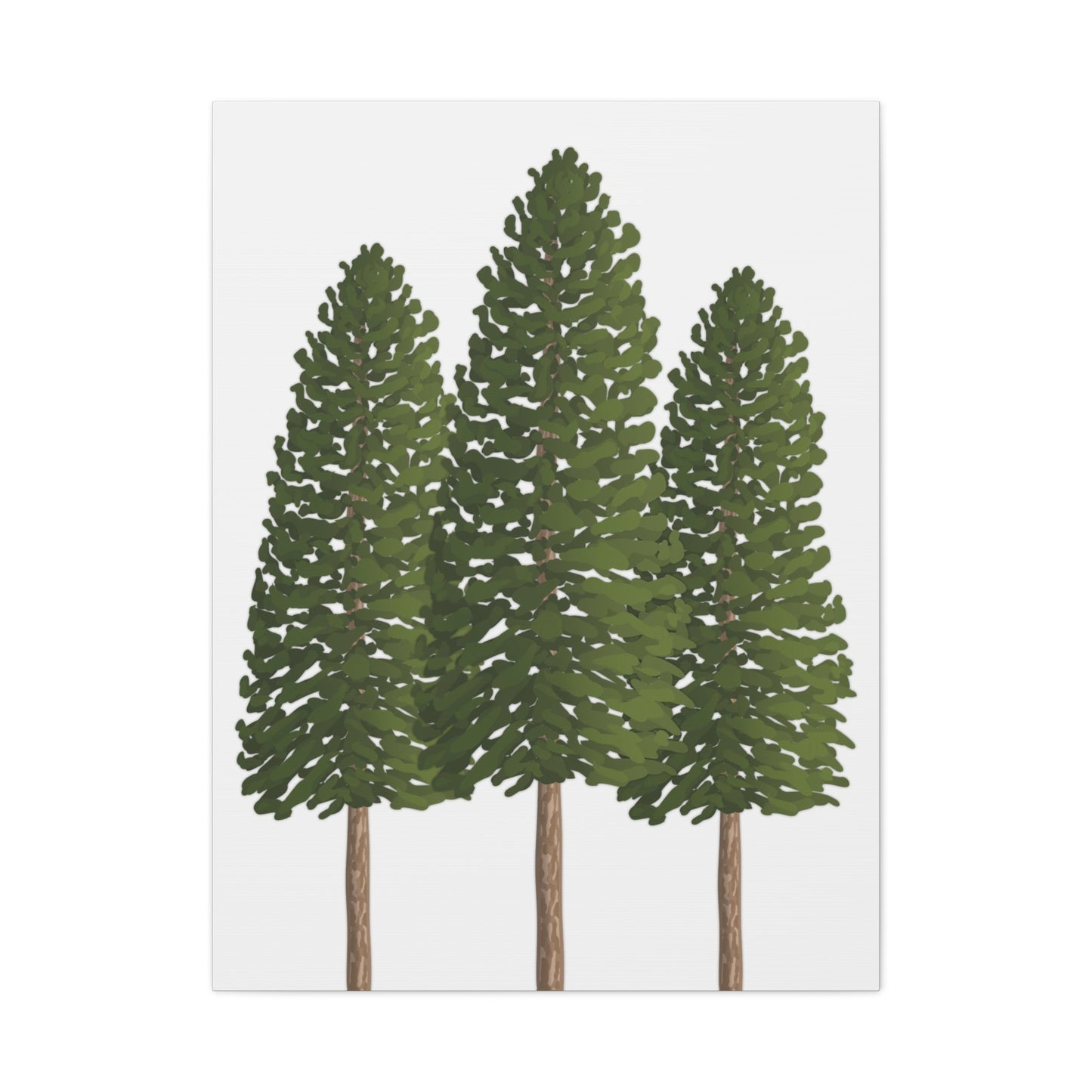 Ponderosa Pine Canvas Print – Wall Art