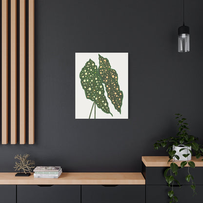 Begonia Maculata Canvas Print – Botanical Wall Art