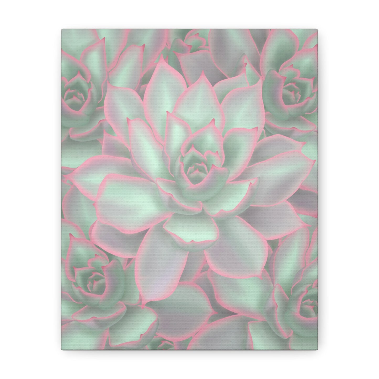 Echeveria Violet Queen Succulent Pattern Canvas Print – Botanical Wall Art