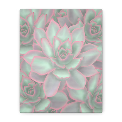 Echeveria Violet Queen Succulent Pattern Canvas Print – Botanical Wall Art