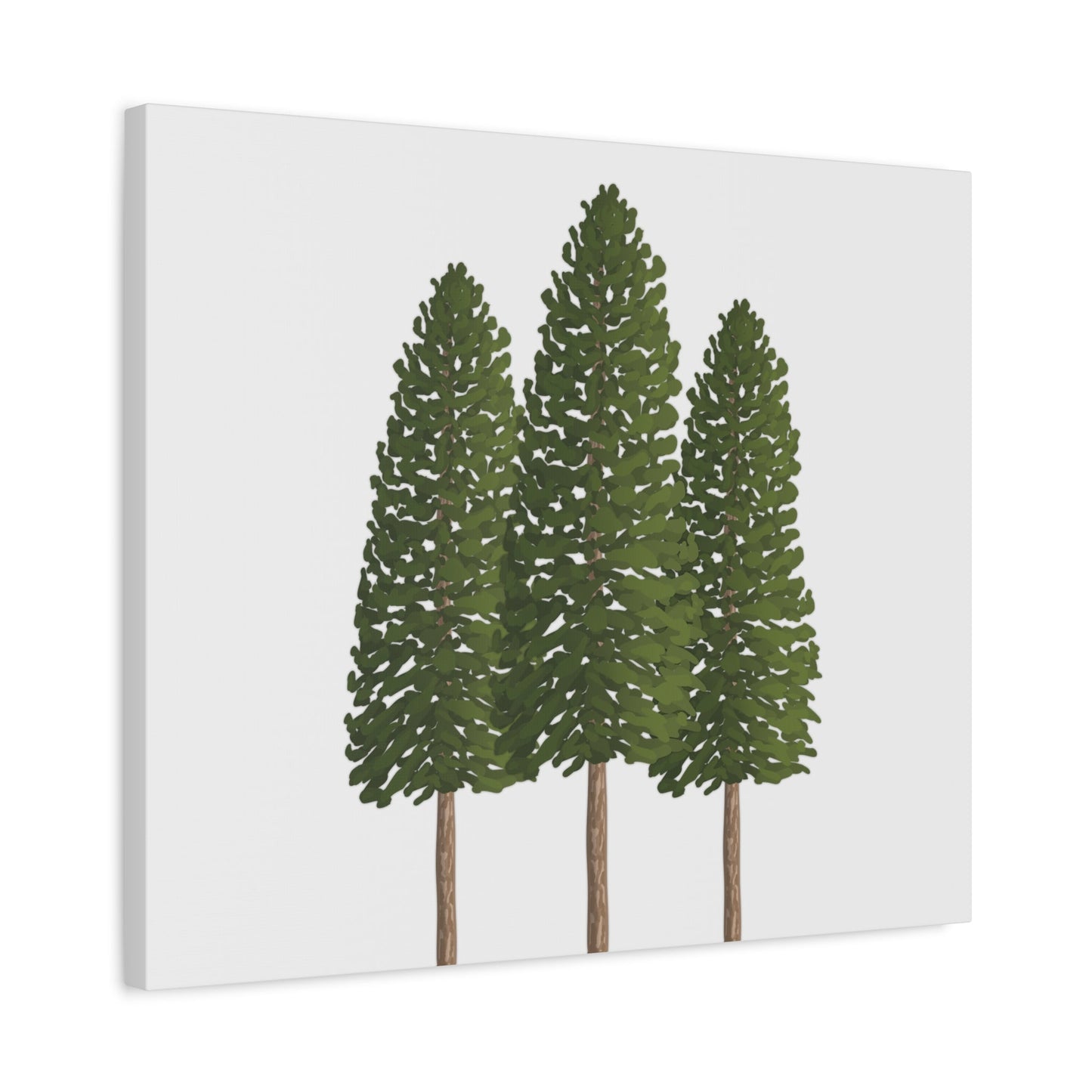 Ponderosa Pine Canvas Print – Wall Art