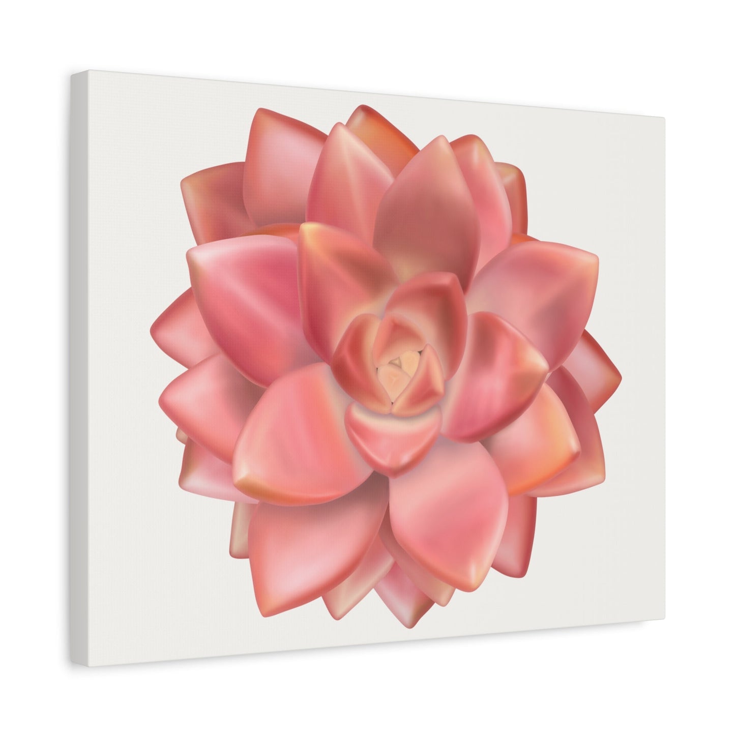 Graptosedum California Sunset Succulent Canvas Print – Botanical Wall Art