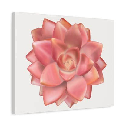 Graptosedum California Sunset Succulent Canvas Print – Botanical Wall Art