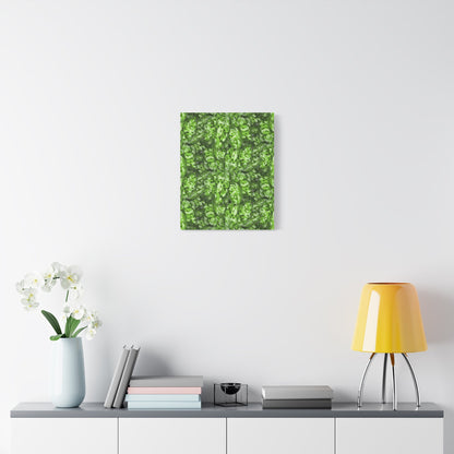 Aglaonema Pictum Canvas Print – Botanical Wall Art