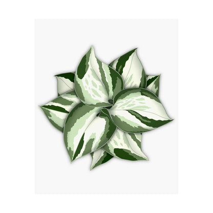 Manjula Pothos Botanical Print – Unframed Wall Art