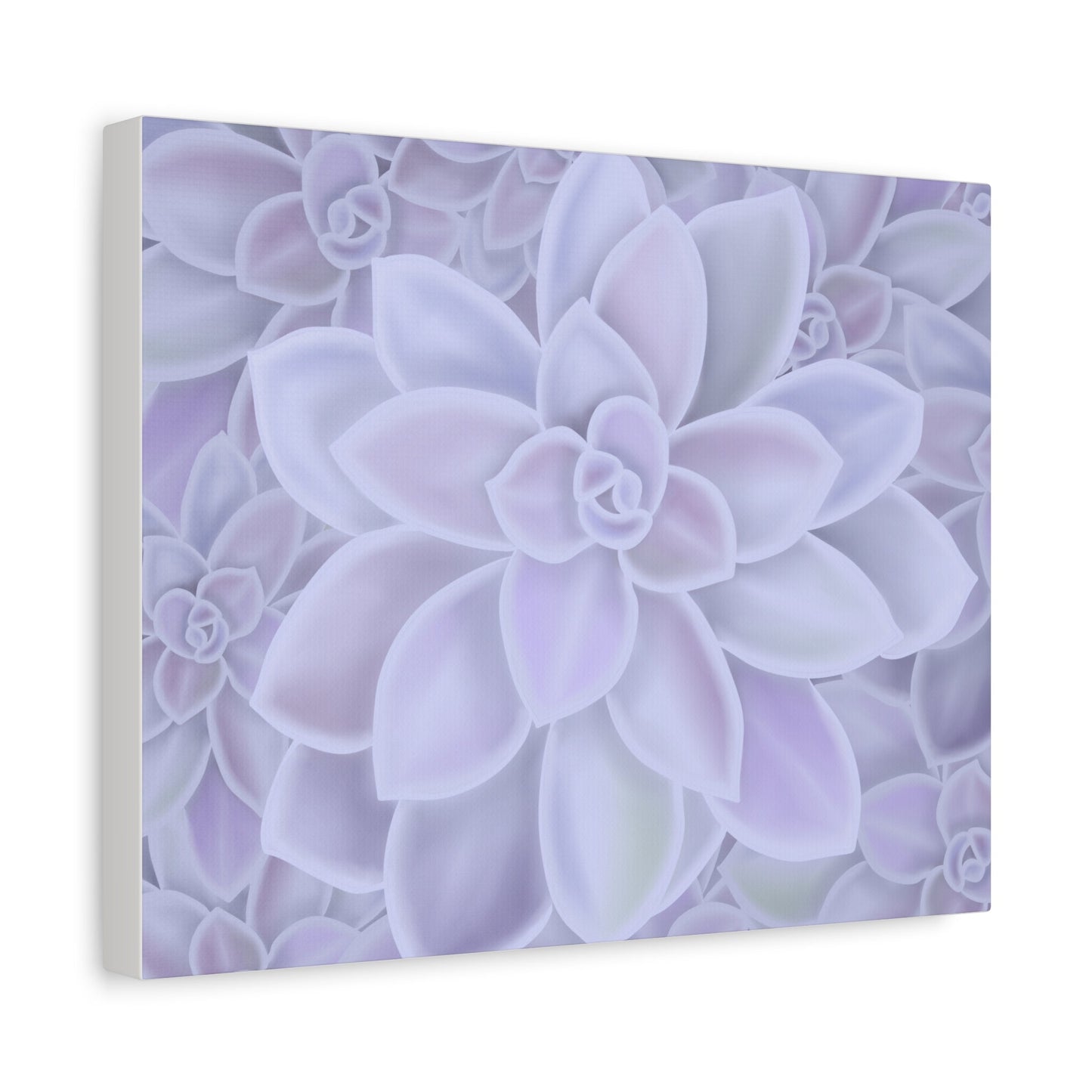 Graptopetalum Murasaki Succulent Pattern Canvas Print – Botanical Wall Art