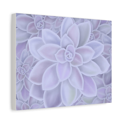 Graptopetalum Murasaki Succulent Pattern Canvas Print – Botanical Wall Art