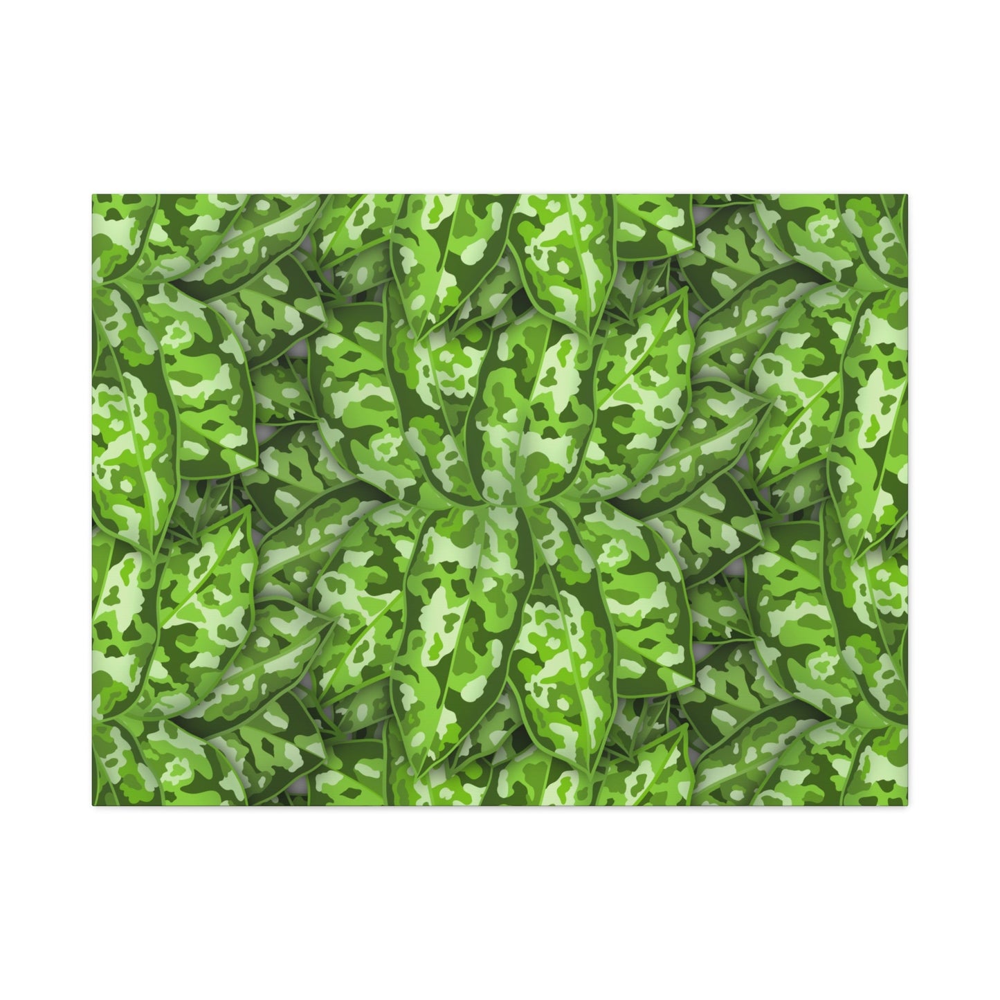 Aglaonema Pictum Canvas Print – Botanical Wall Art