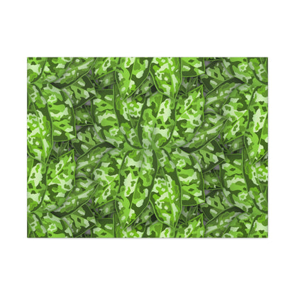 Aglaonema Pictum Canvas Print – Botanical Wall Art