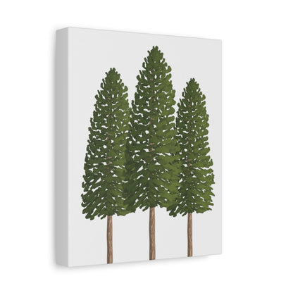 Ponderosa Pine Canvas Print – Wall Art