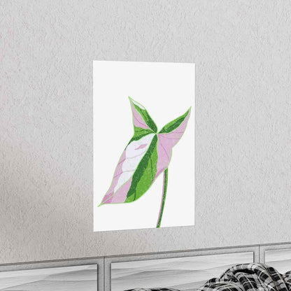Syngonium Tricolor Botanical Print – Unframed Wall Art