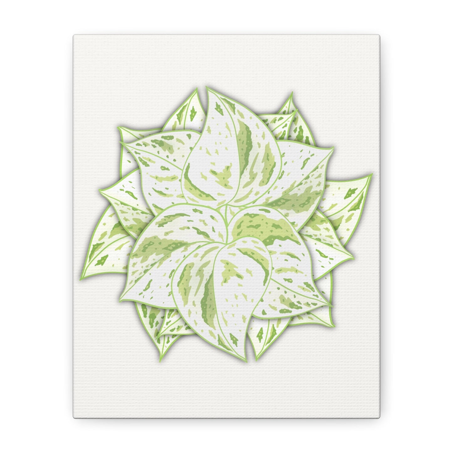 Snow Queen Pothos Canvas Print – Botanical Wall Art