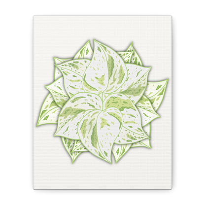 Snow Queen Pothos Canvas Print – Botanical Wall Art