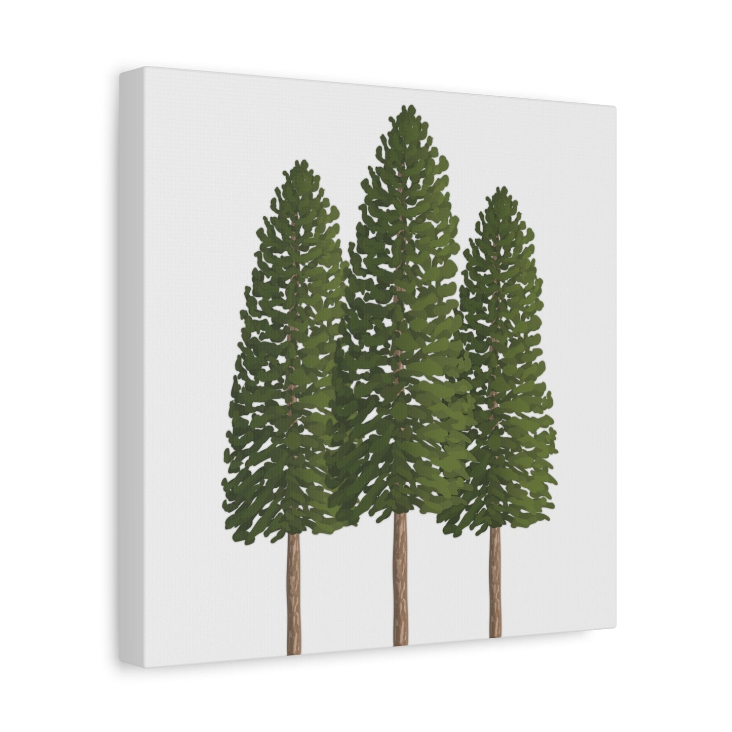 Ponderosa Pine Canvas Print – Wall Art