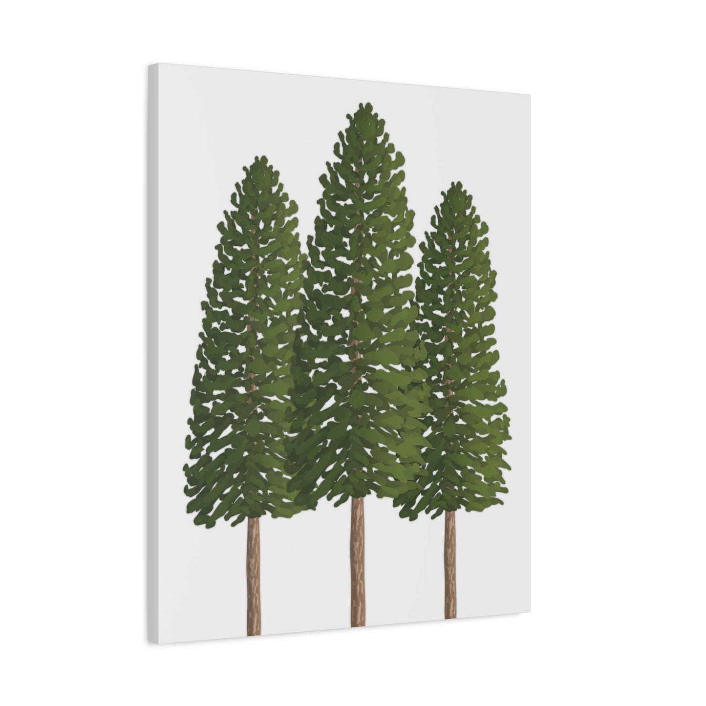 Ponderosa Pine Canvas Print – Wall Art