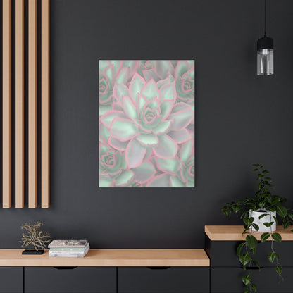 Echeveria Violet Queen Succulent Pattern Canvas Print – Botanical Wall Art