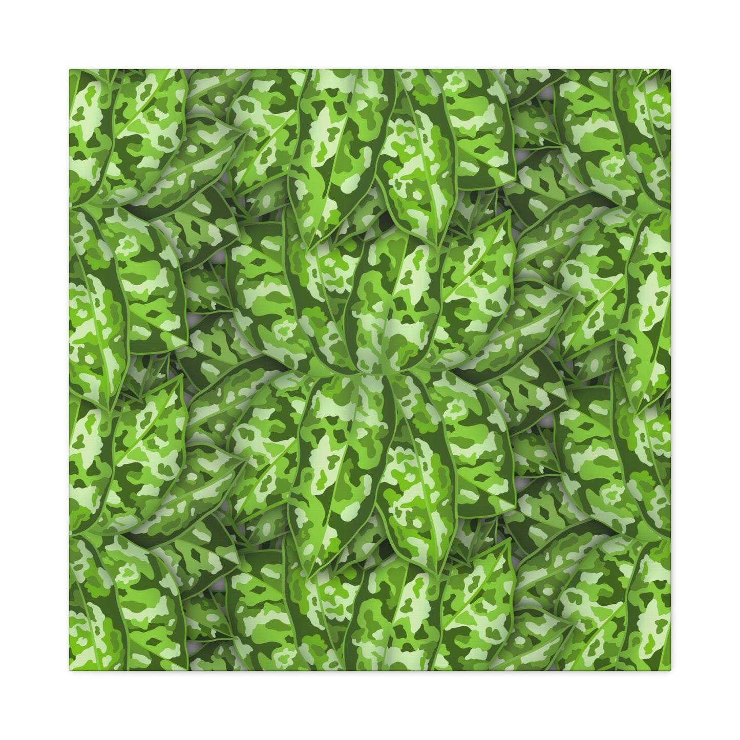 Aglaonema Pictum Canvas Print – Botanical Wall Art
