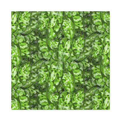 Aglaonema Pictum Canvas Print – Botanical Wall Art