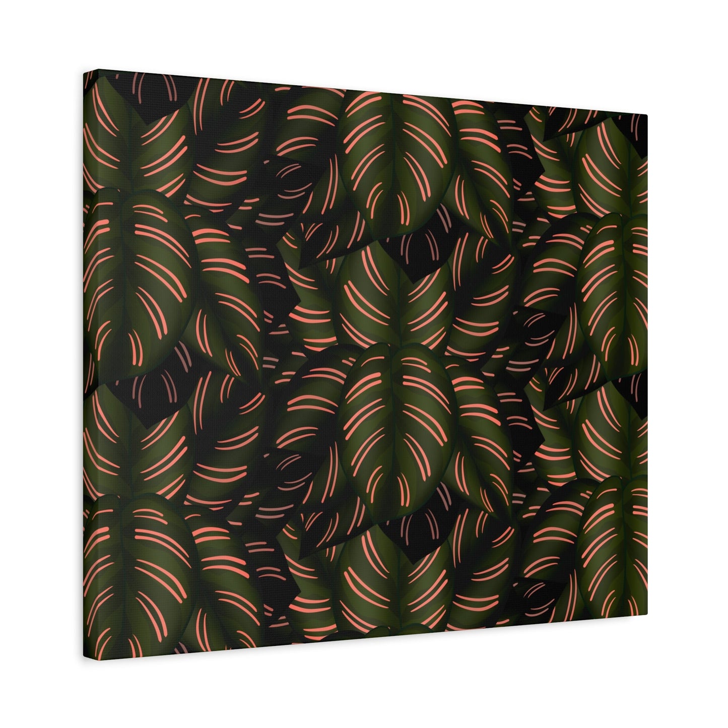 Calathea Pinstripe Pattern Canvas Print – Botanical Wall Art