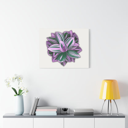 Tradescantia Nanouk Canvas Print – Botanical Wall Art