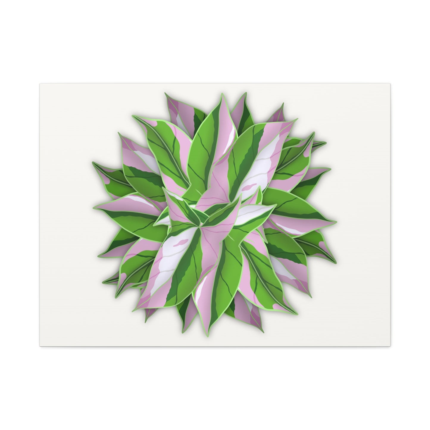 Syngonium Tricolor Pattern Canvas Print – Botanical Wall Art