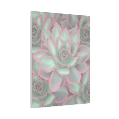 Echeveria Violet Queen Succulent Pattern Canvas Print – Botanical Wall Art