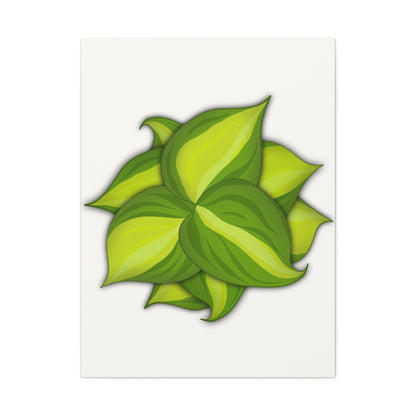 Philodendron Brasil Canvas Print – Botanical Wall Art