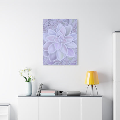 Graptopetalum Murasaki Succulent Pattern Canvas Print – Botanical Wall Art