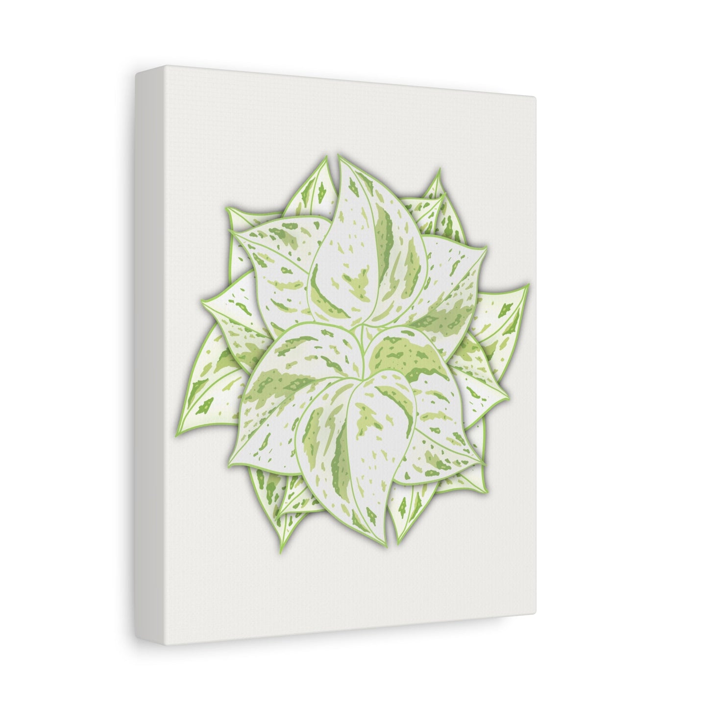 Snow Queen Pothos Canvas Print – Botanical Wall Art