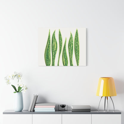 Snake Plant Canvas Print – Botanical Wall Art